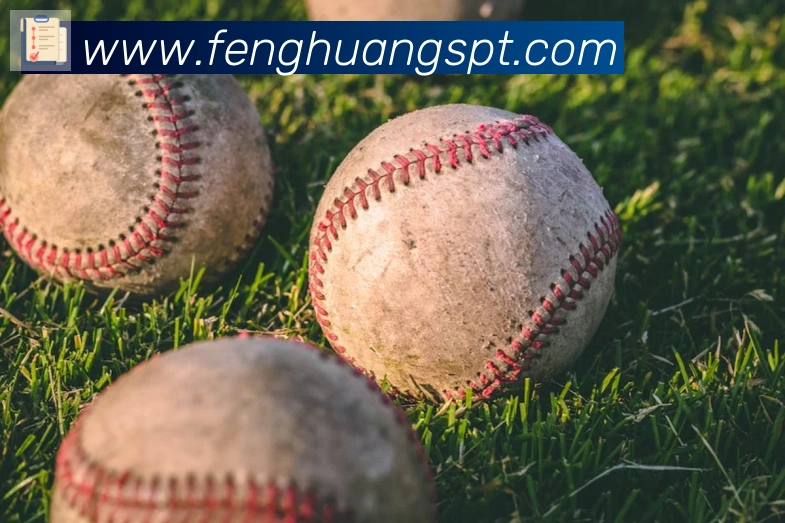 凤凰体育发展历程