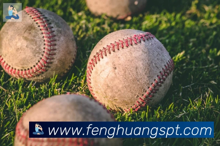 凤凰体育品牌故事