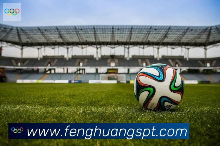 凤凰体育服务体系