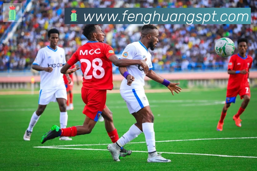 凤凰体育APP 封面图