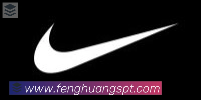 凤凰体育合作伙伴