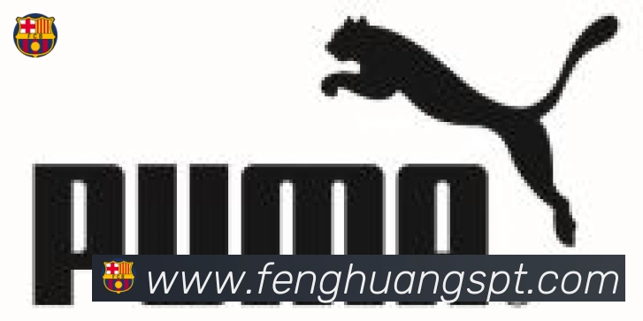 凤凰体育合作伙伴