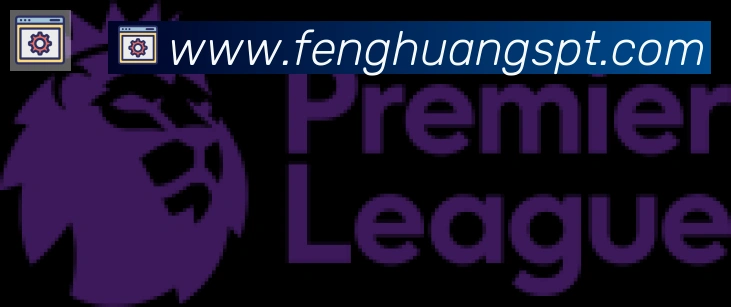 凤凰体育合作伙伴