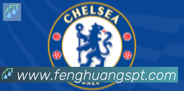 凤凰体育合作伙伴